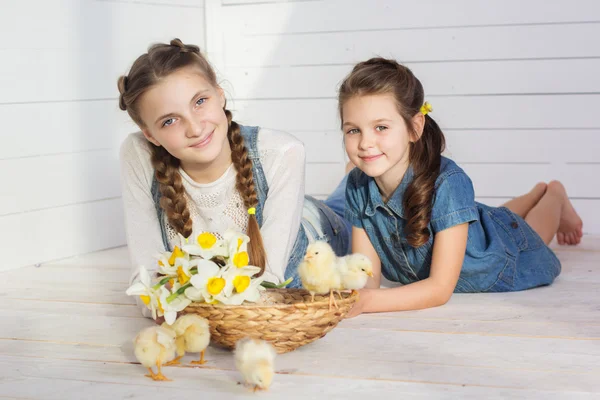 Duas meninas felizes com pintos amarelos — Fotografia de Stock