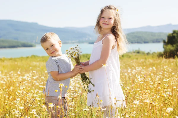 Jongen en meisje op kamille field — Stockfoto