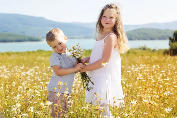 Dos niños niño y niña en el campo de manzanilla — Foto de Stock