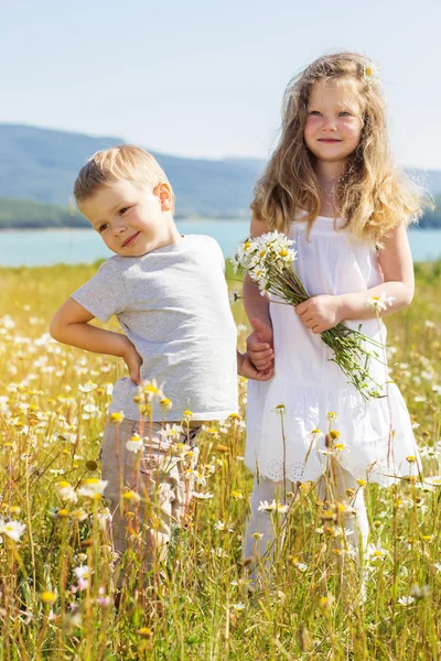 Двоє дітей хлопчик і дівчинка на ромашковому полі — стокове фото