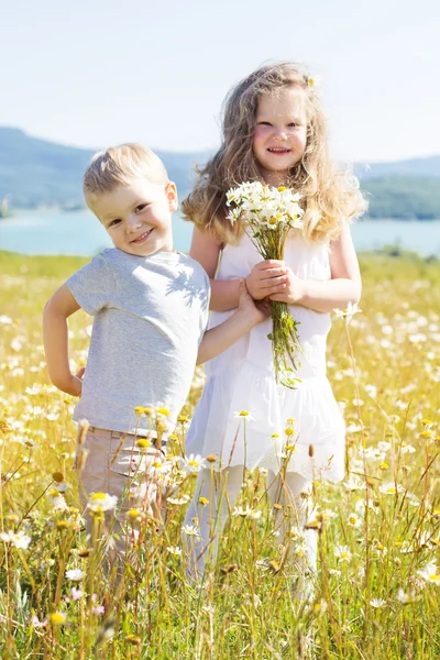 Двое детей мальчик и девочка на ромашковом поле — стоковое фото