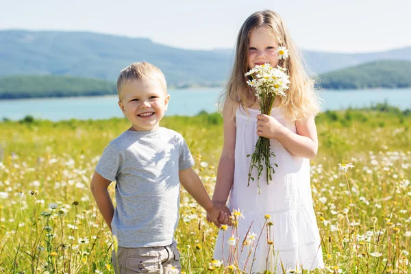 Två barn pojke och flicka på kamomill fält — Stockfoto