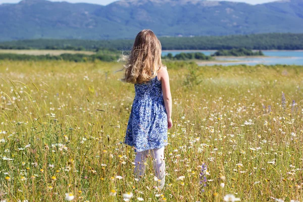 Bonito sorridente menina criança no campo verde — Fotografia de Stock