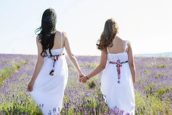 Dvě dívky v poli levandule — Stock fotografie