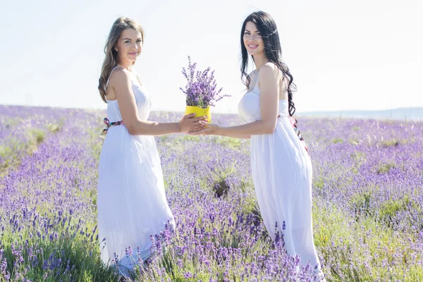 Duas meninas estão andando no campo de lavanda — Fotografia de Stock