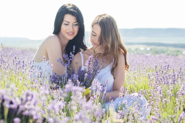Dvě dívky jdou v levandulové pole — Stock fotografie