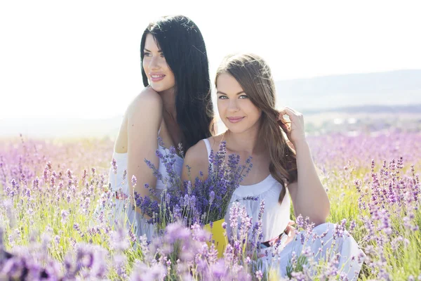 Duas meninas estão andando no campo de lavanda — Fotografia de Stock