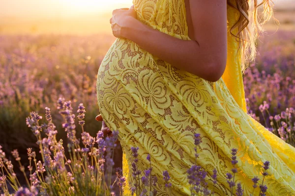 Pancia di donna incinta in un campo di lavanda — Foto Stock