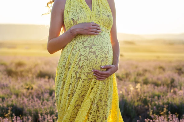 Magen på gravid kvinna i ett lavendelfält — Stockfoto