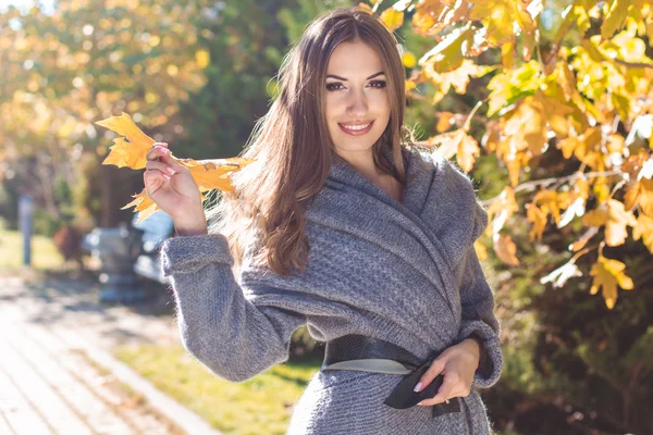 Hübsche Frau im Park mit herbstgelben Blättern — Stockfoto