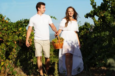 Üzüm satırları arasında yürüme Çift