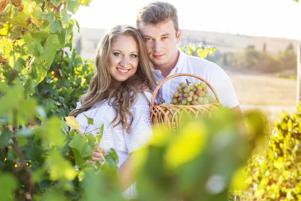 Couple walking in between rows of vines — Stock Photo, Image