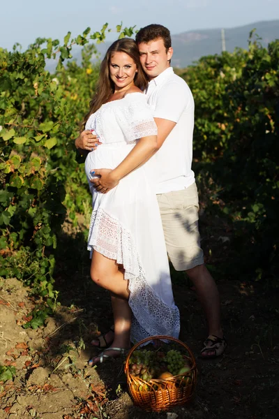 Pareja caminando entre hileras de vides — Foto de Stock