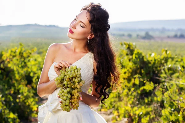 Braut in einem Weinberg, Herbst — Stockfoto