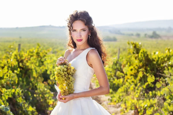 Sposa in un vigneto, autunno — Foto Stock