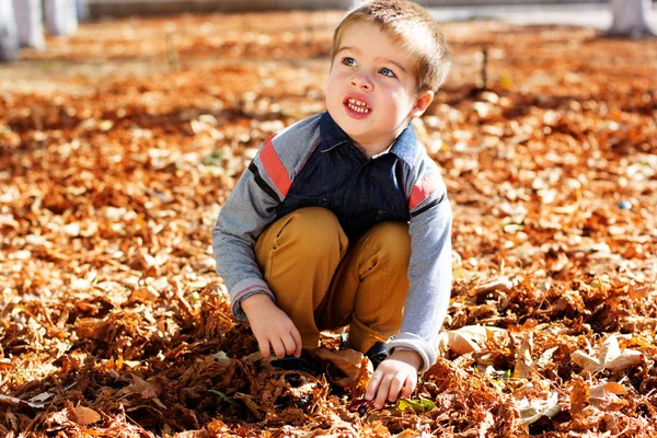 Pequeño niño en el parque de otoño — Foto de Stock