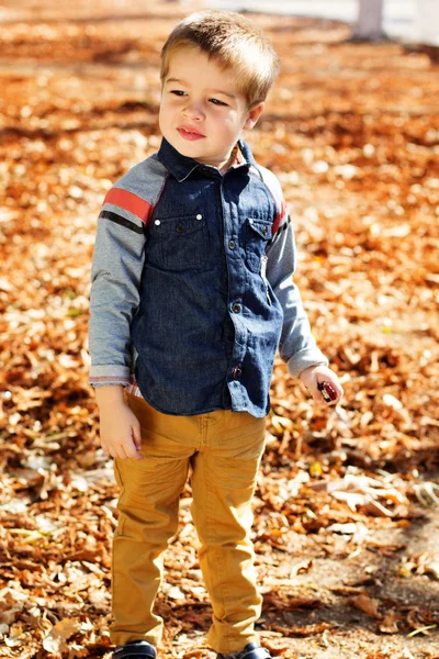 Sonbahar parkta yürümeye başlayan çocuk — Stok fotoğraf