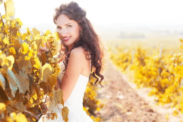 Braut in einem Weinberg, Herbst — Stockfoto