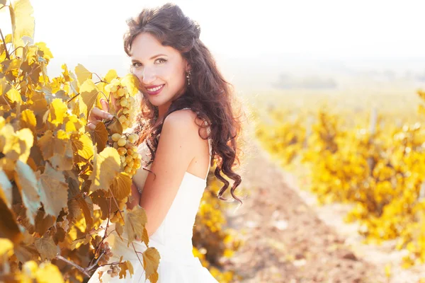 Sposa in un vigneto, autunno — Foto Stock