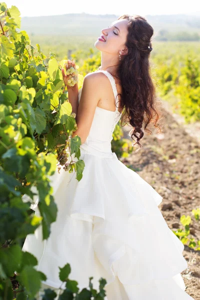 Braut in einem Weinberg, Herbst — Stockfoto