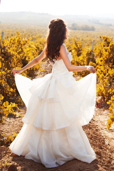 Bruden i en vingård, höst — Stockfoto