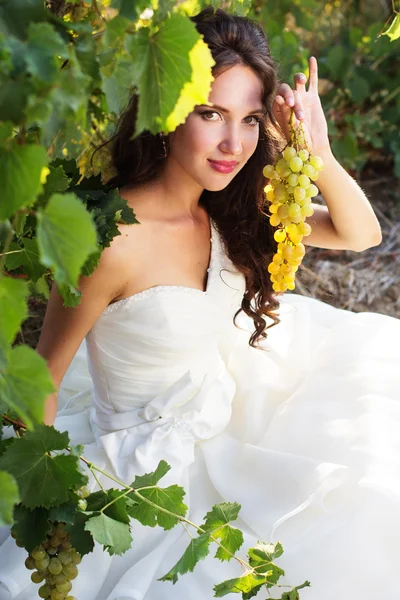 Sposa in un vigneto, autunno — Foto Stock