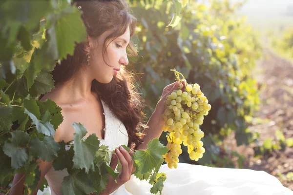 Bruden i en vingård, höst — Stockfoto