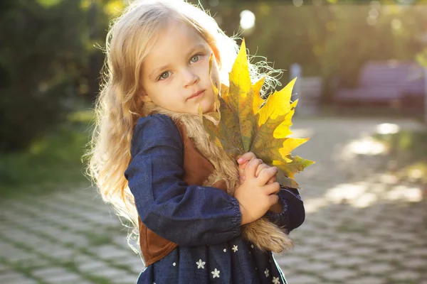 Adorable niña con hojas de otoño en el parque —  Fotos de Stock