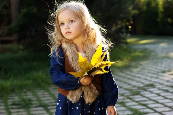 Adorable niña con hojas de otoño en el parque —  Fotos de Stock