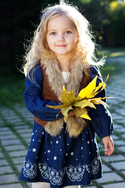 Sonbahar ile sevimli küçük kız parkta bırakır — Stok fotoğraf