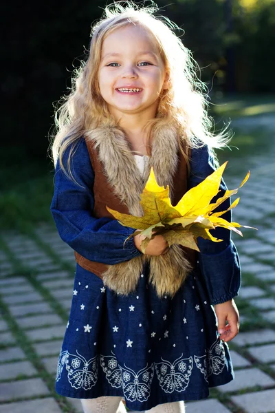 Adorable niña con hojas de otoño en el parque —  Fotos de Stock