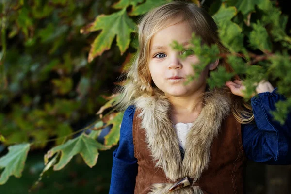 Rozkošná holčička s podzimní listy v parku — Stock fotografie