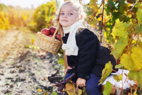 Adorable niña con manzanas, otoño —  Fotos de Stock