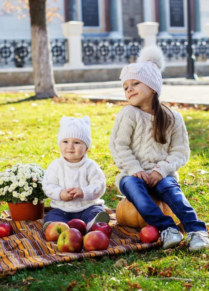 Niño con hermana en el parque de otoño — Foto de Stock