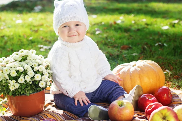 Niño con calabazas en el parque de otoño —  Fotos de Stock
