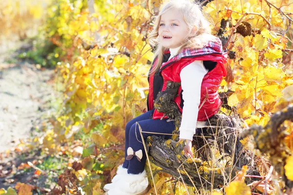 Маленька дівчинка сидить на виноградній гілці — стокове фото
