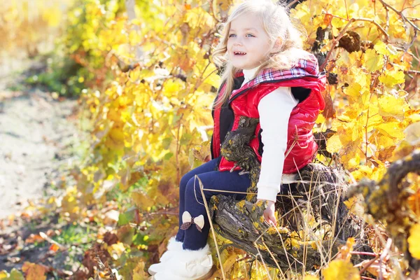 La niña está sentada en la rama de uva. —  Fotos de Stock