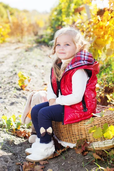 Little girl in warm clothes with toy rabbit — Stock Photo, Image