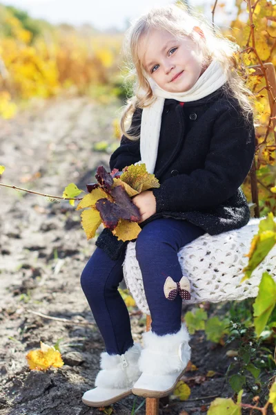 Rozkošná holčička v teplé oblečení, podzimní čas — Stock fotografie