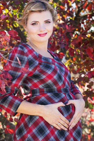 Pregnant girl is wearing checkered dress in park — Stock Photo, Image