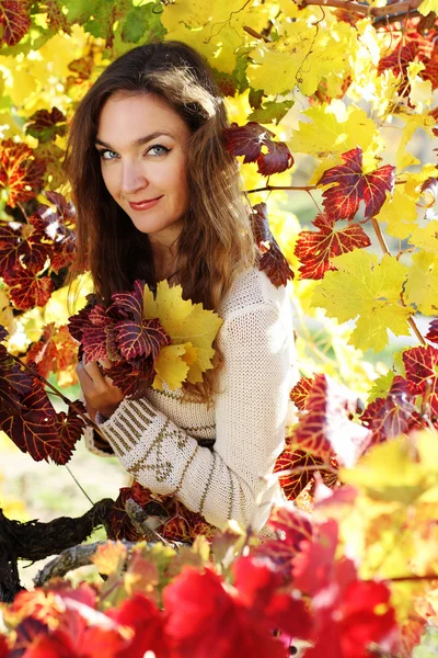 Beautiful young lady in grape vineyard — Stock Photo, Image