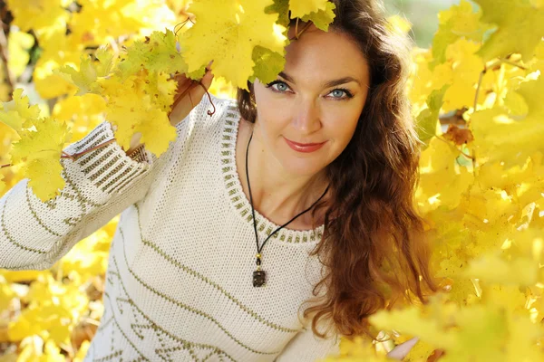 Menina bonita em vinha de uva — Fotografia de Stock