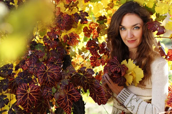 Bella giovane signora in vigna d'uva — Foto Stock