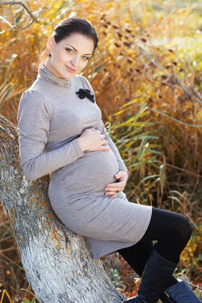 Mujer embarazada en la naturaleza, tiempo de otoño — Foto de Stock