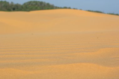 Phan Thiet, Vietnam, kum doku