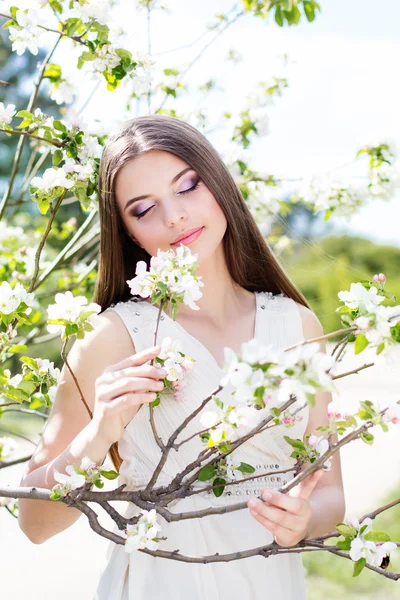 Beautiful girl in a cherry blossom garden — Stock Photo, Image