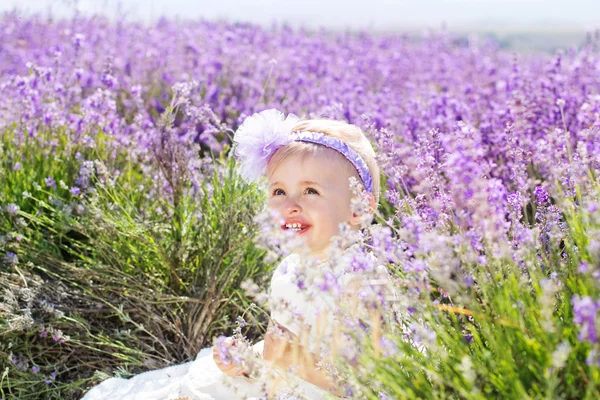 Aranyos kis gyermek lány levendula mező — Stock Fotó