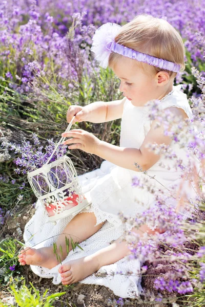 Cute child girl in field of lavender flowers — Stock Photo, Image