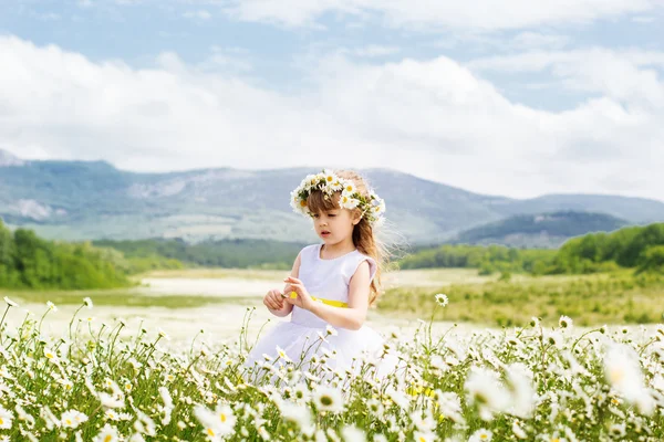Cute child girl at field of camomiles — Stock Photo, Image
