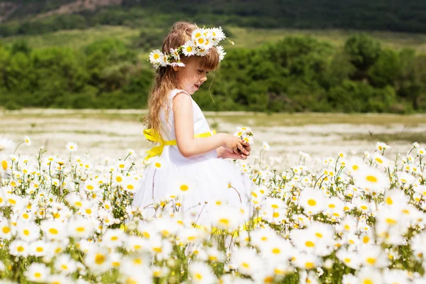 Cute child girl at field of camomiles — Stock Photo, Image